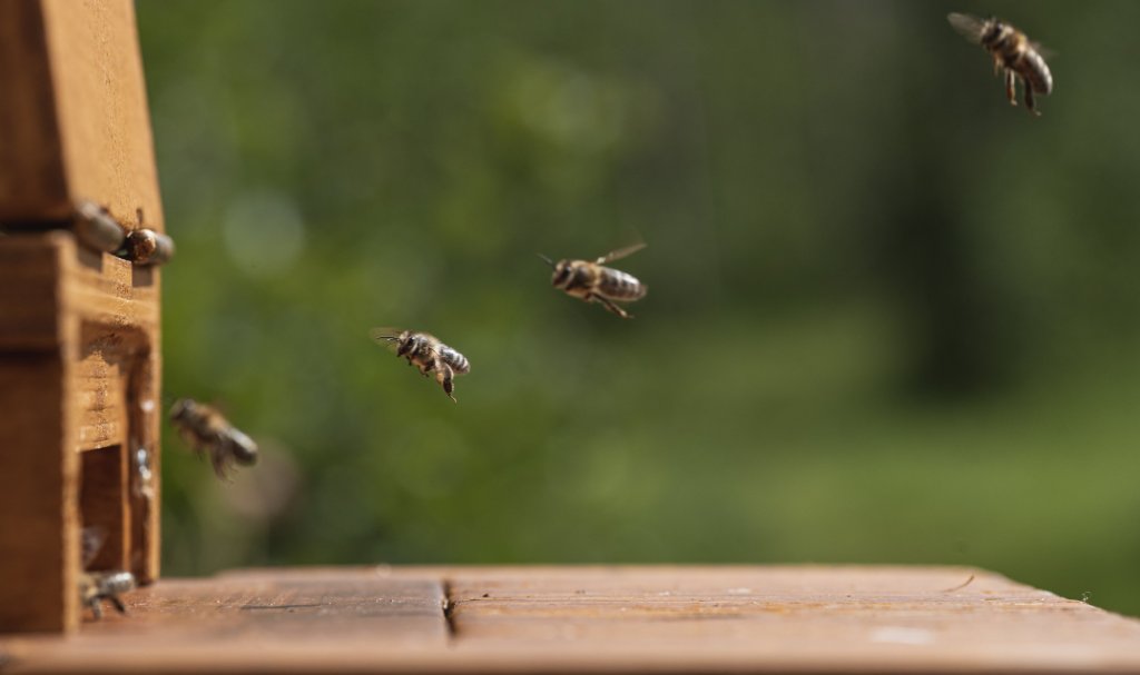 Unsere Vision: Stärkung durch Zusammenarbeit.