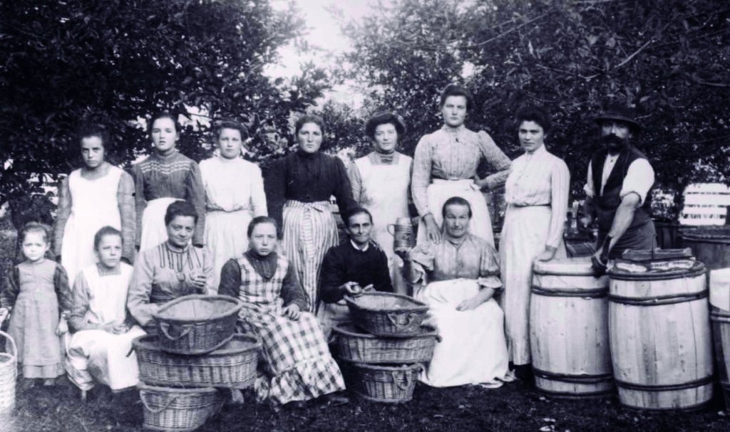 Sortenentwicklung in Südtirol