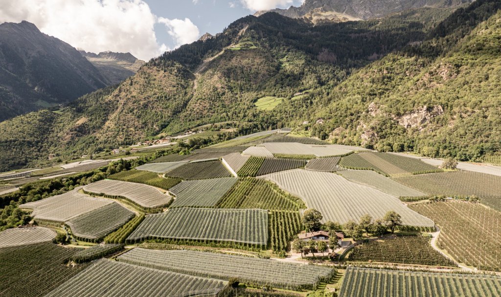 Unsere Vision: Stärkung durch Zusammenarbeit.