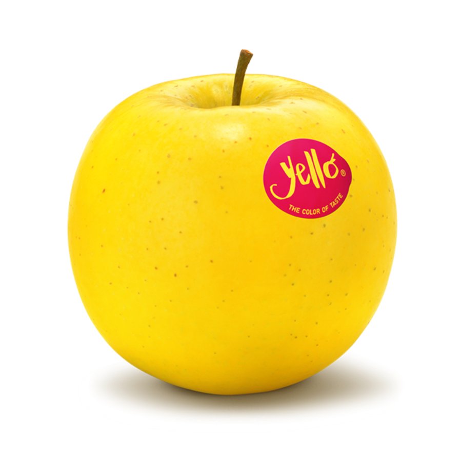 Shinano Gold - yello®